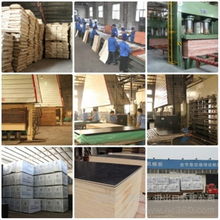 河北楊木芯建筑模板廠 建筑建材行業(yè)的優(yōu)質(zhì)選擇